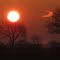 Sonne und Mondwolke -3-