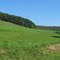 im Tal der Twiste bei Braunsen