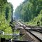 Bahn Richtung Schwarmstedt