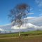 Blick R. NW