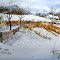 Winterday in Weserbergland II