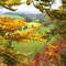 Diemel-river at autumn