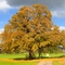Herbst (autumn)