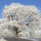 Winteranfang 2007-12-21