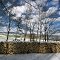 10 Meter Holz...