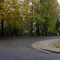 Plockhorst