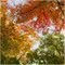 Herbstfarben
