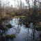 West Branch Conneaut Creek