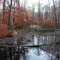 Middle Branch Conneaut Creek