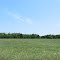 Fields