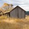 Old Farm Buildings ...10.24.10