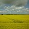 Mailicht über Schleswig-Holstein