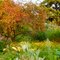 Herbstimpression – Stadtgarten Vegesack, Bremen