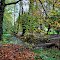 Herbstweg am Steg – Bremen Grambke