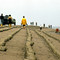 Deckwerk mit Asphalt und Wellenbrechern