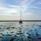 Im Watt, Wangerooge-Ost