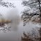 ... misty morning ...
