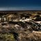 Langeoog Viewpoint HDR