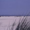 Blick zur Insel Langeoog