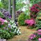 Hobbie Rhododendronpark