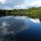 Sandersfelder See #3 (2008-09)