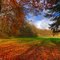 Lichtung im Herbst, Hasbruch