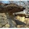 TOADSTOOL ROCKS