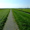 Norderney - endless straight 20080909