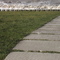 Norddeich Sturm Emma
