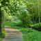 Geestweg.  De Soeste in Cloppenburg,  2007-04-25