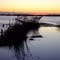 VL_Verden_Aller_Hochwasser 2011_04