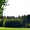 Am Waldrand