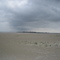 auf dem weg zum wrack