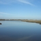In den Dünen