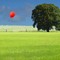 Baloon
