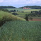Hollenbergs Hügel
