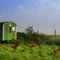 Huehner und Himmel an der Nordsee