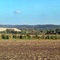 Die "Hüttner Berge" - von Owschlag aus gesehen - hills, view from Owschlag
