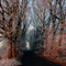 Winter impression at the B 65 near Mittellandkanal, Bad Essen