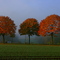 Trees in autumn near "Roter Pfahl" (Meesdorfer Strasse)