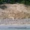 Swirling Grass on Stark Rd
