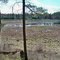 Musquash Swamp in Spring