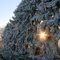 Winter impression at the highest point in the municipality of Bad Essen (220m)