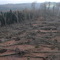View from Diedrichsburg into the destroyed forest after Kyrill