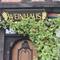 No, das ist nicht Amy! Weinhaus Nienburg