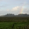 Regenbogen bei Rantrum