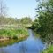 Langs dansk- tysk grænse, 8. maj 2011