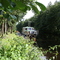 Boot im Elisabethfehnkanal