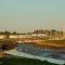 Ebbe / low tide - Spieka Neufeld - © AW