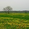 Cuxhaven,Germany, by HalvardCux